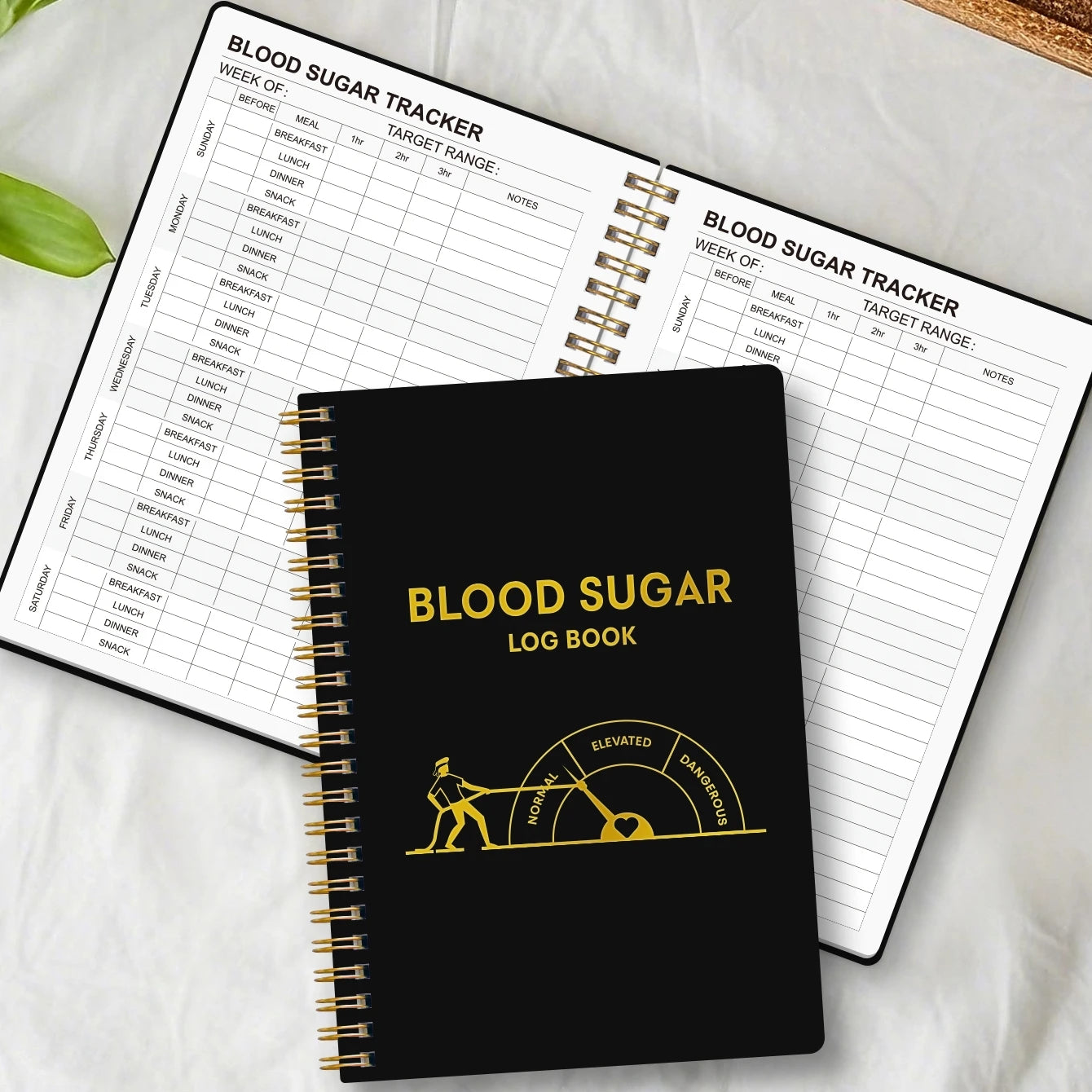 2025 Blood Sugar Log Book Weekly Diabetic Glucose Tracker Journal